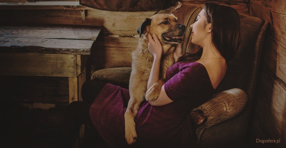 dogosfera-banner-2017