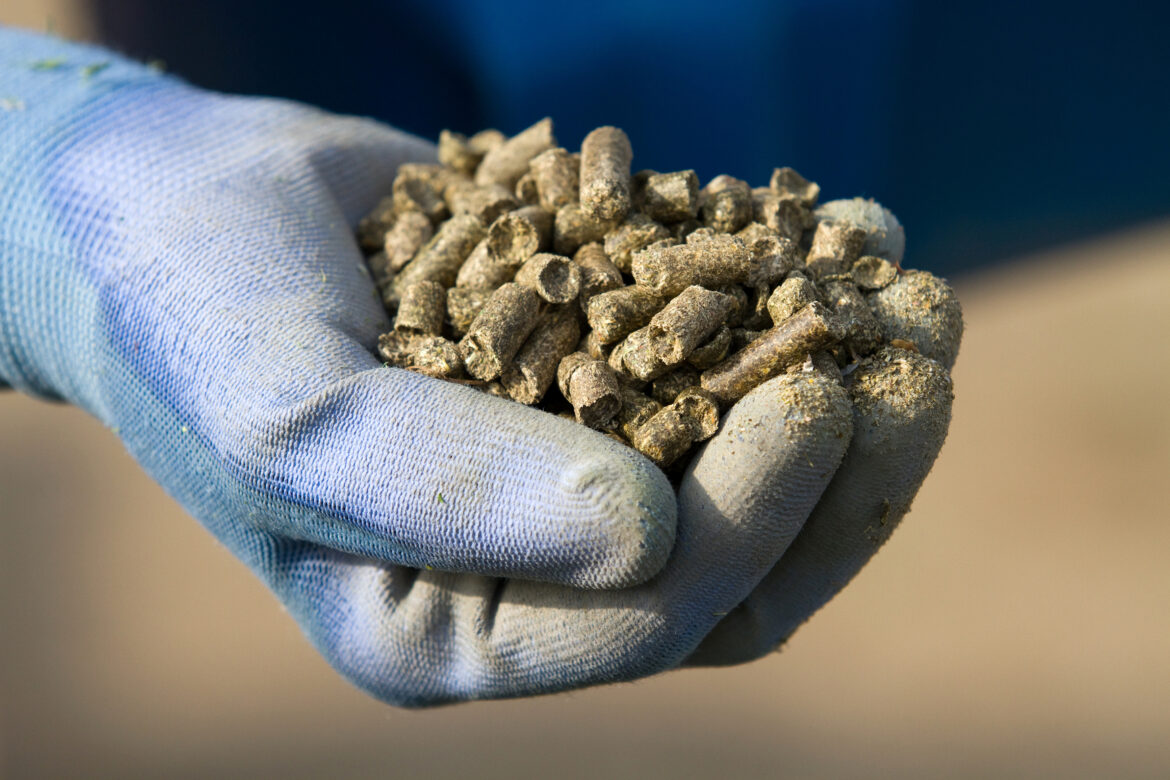 Dodatki paszowe- E… nie zawsze witaminą E